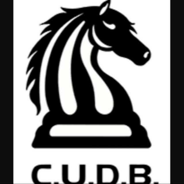 logo-team